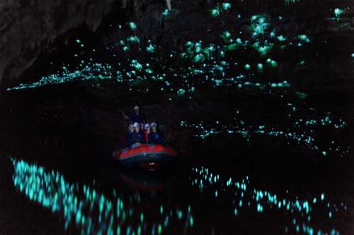 Waitomo cave