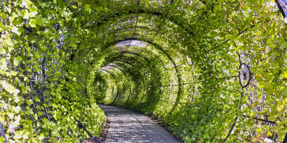 Tunel v záhrade