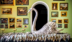 Silver swan