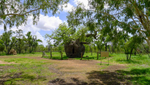 Väznica v Baobabe