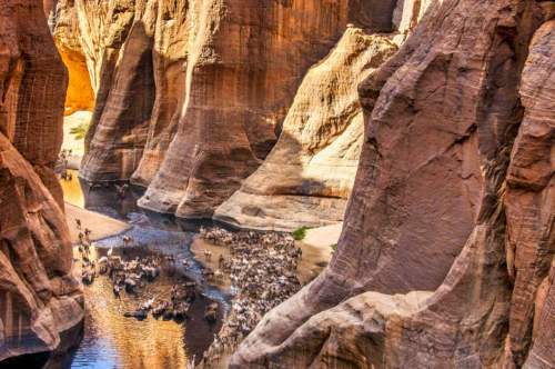Guelta d'Archei