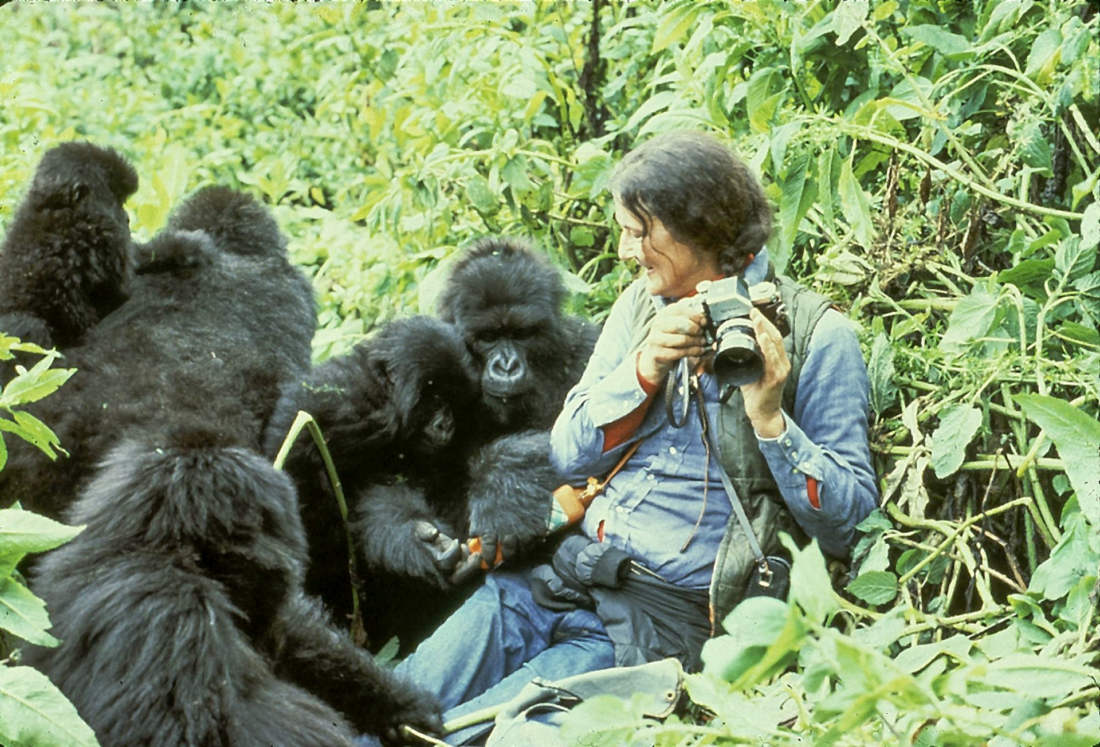 Hrob Dian Fossey