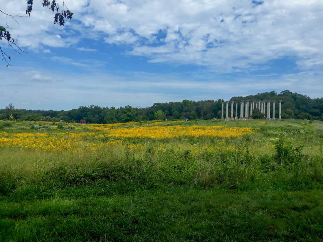 National Capitol Columns