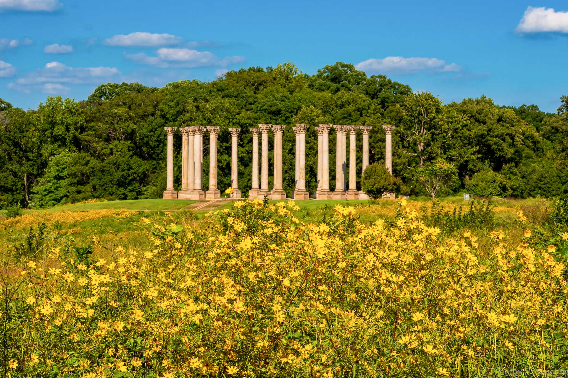 National Capitol Columns