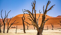 Deadvlei