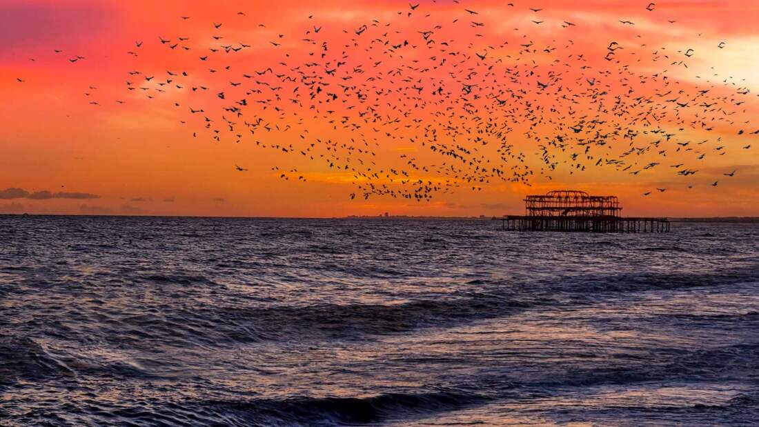 West Pier