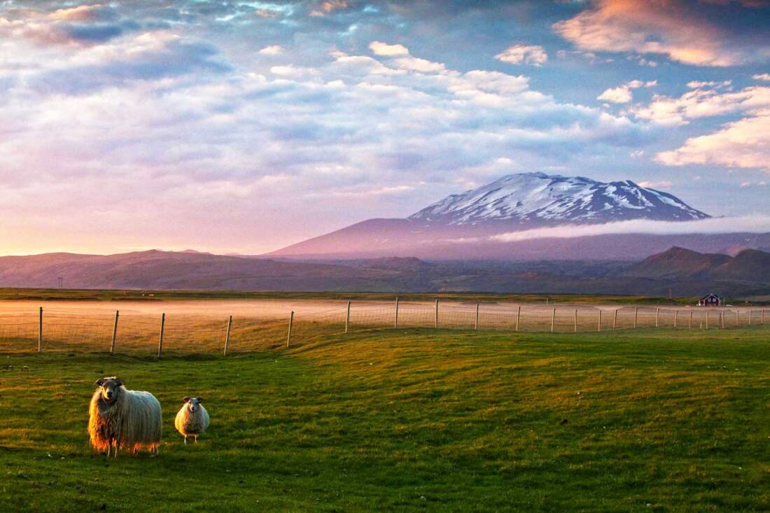 Hekla