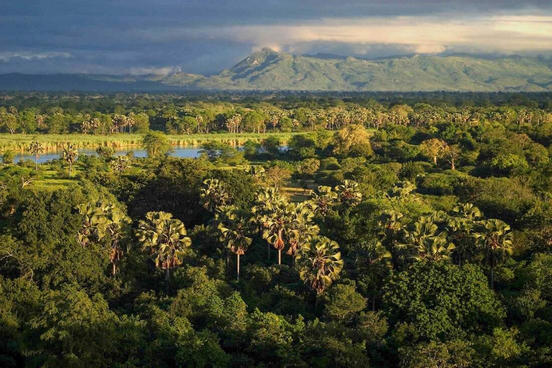 Lake Malawi