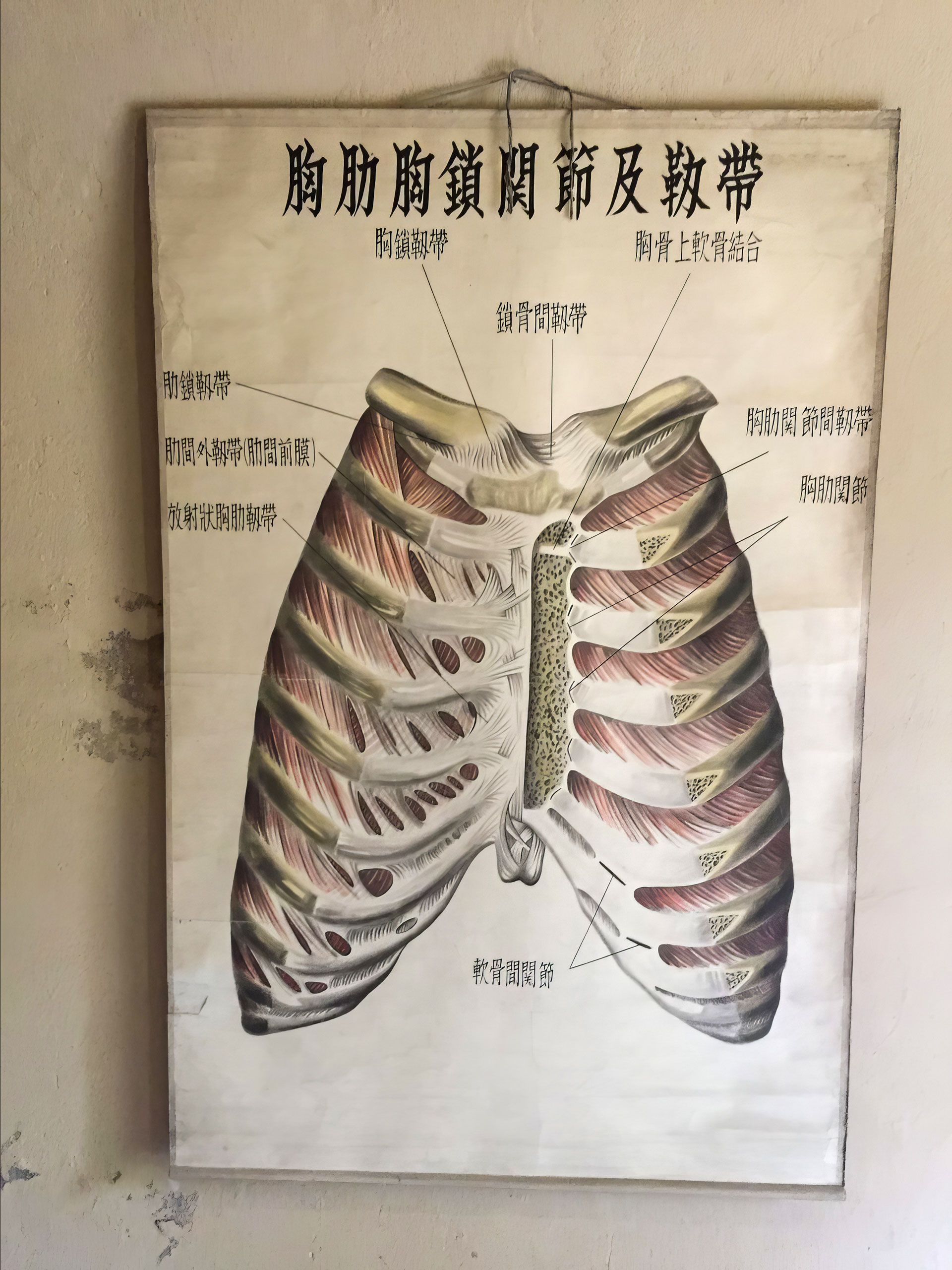 Opustená Čínska Lekárska Univerzita