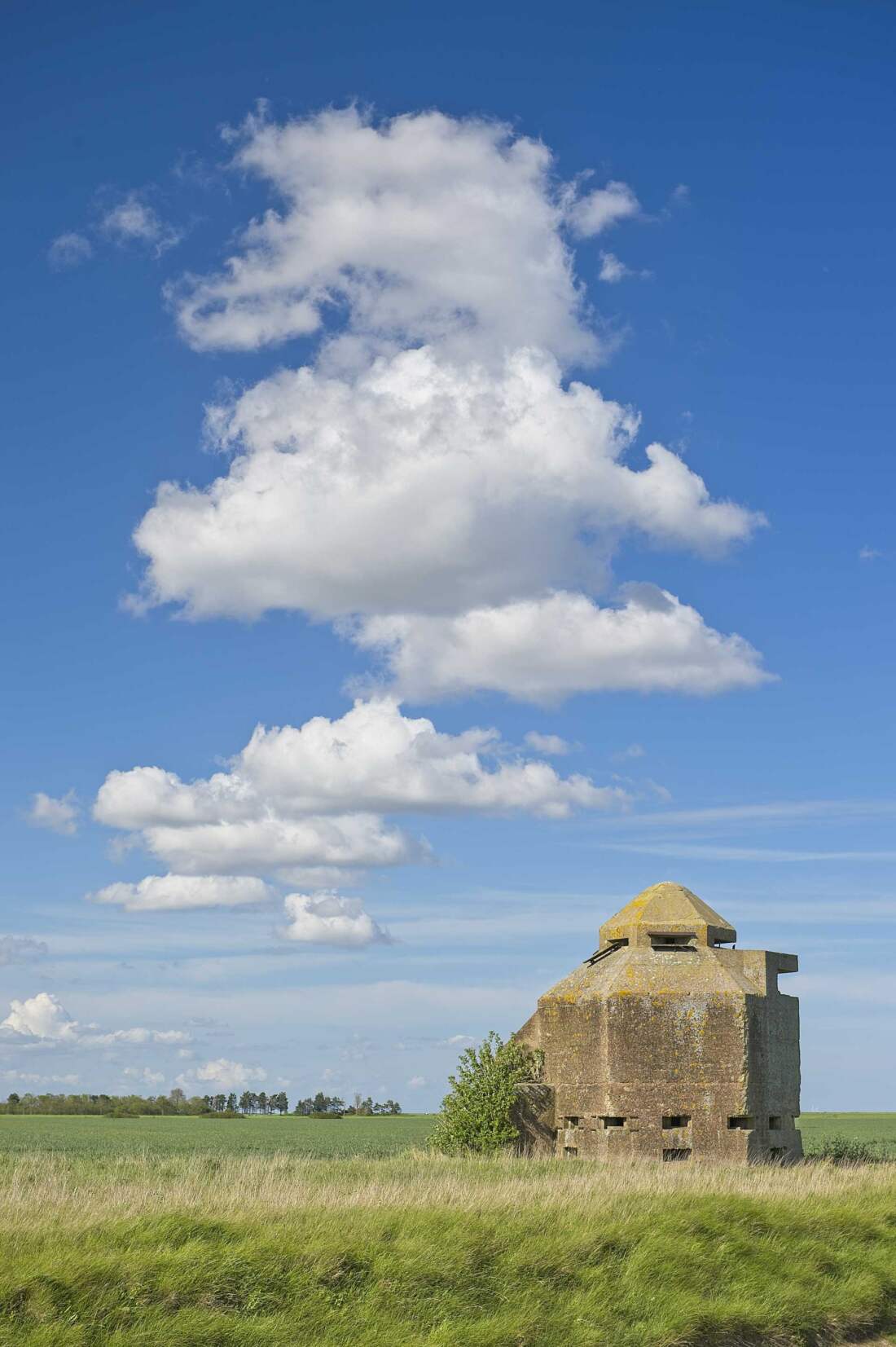 World War II Minefield Observation Tower and Pillbox