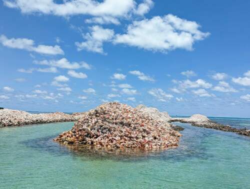 Conch Island