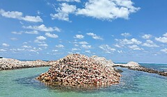 Conch Island