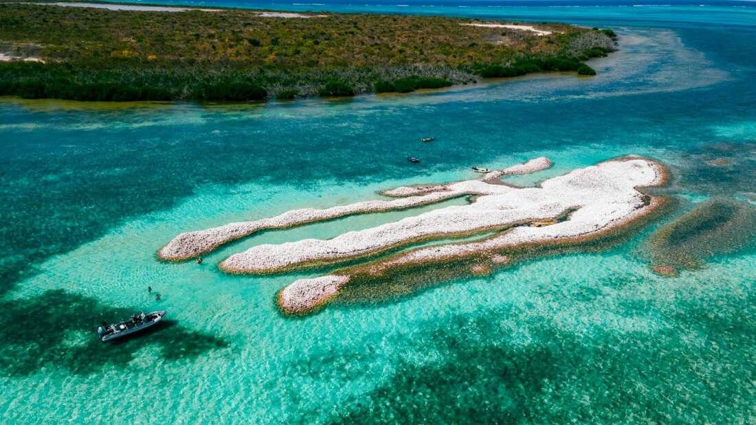 Anegada Conch Middens