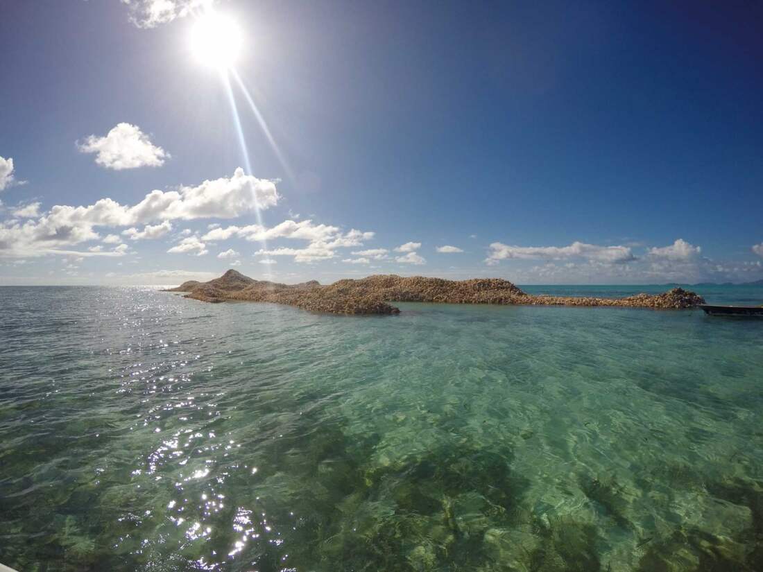 Anegada Conch Middens