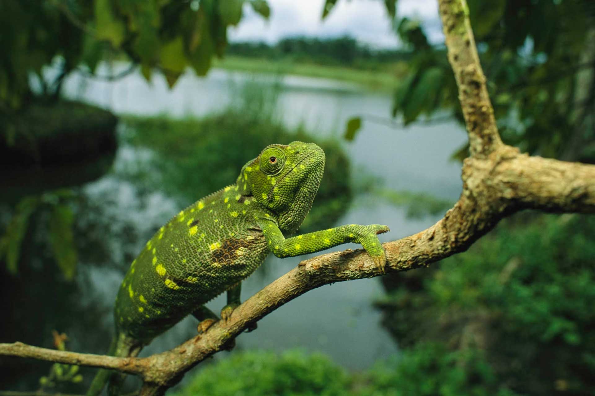 Parc national de Loango