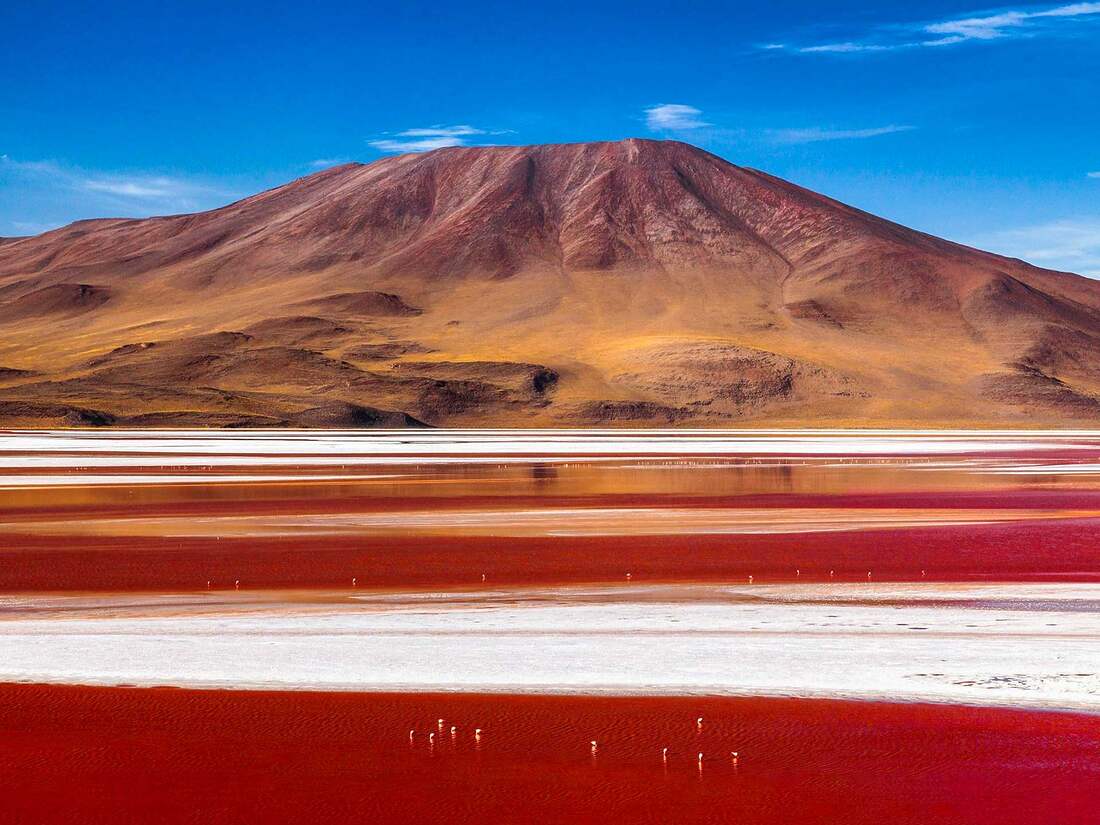 Laguna Colorada