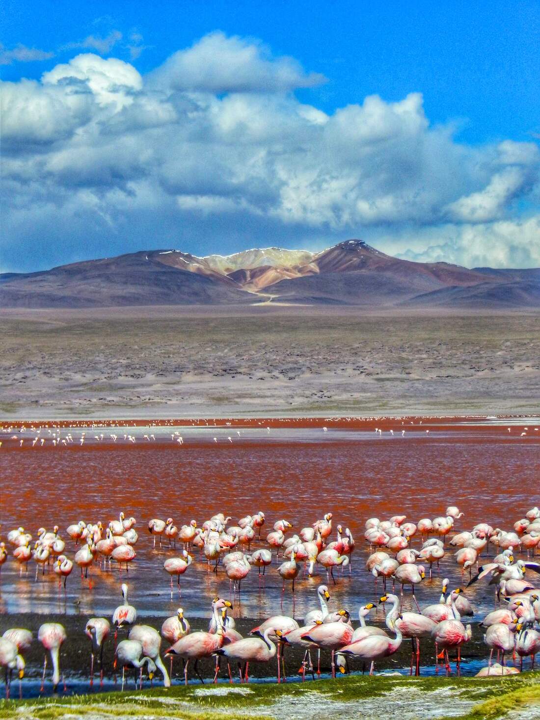 Laguna Colorada