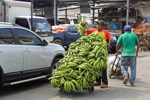 Mercado De Abastos