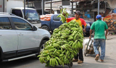 Mercado De Abastos