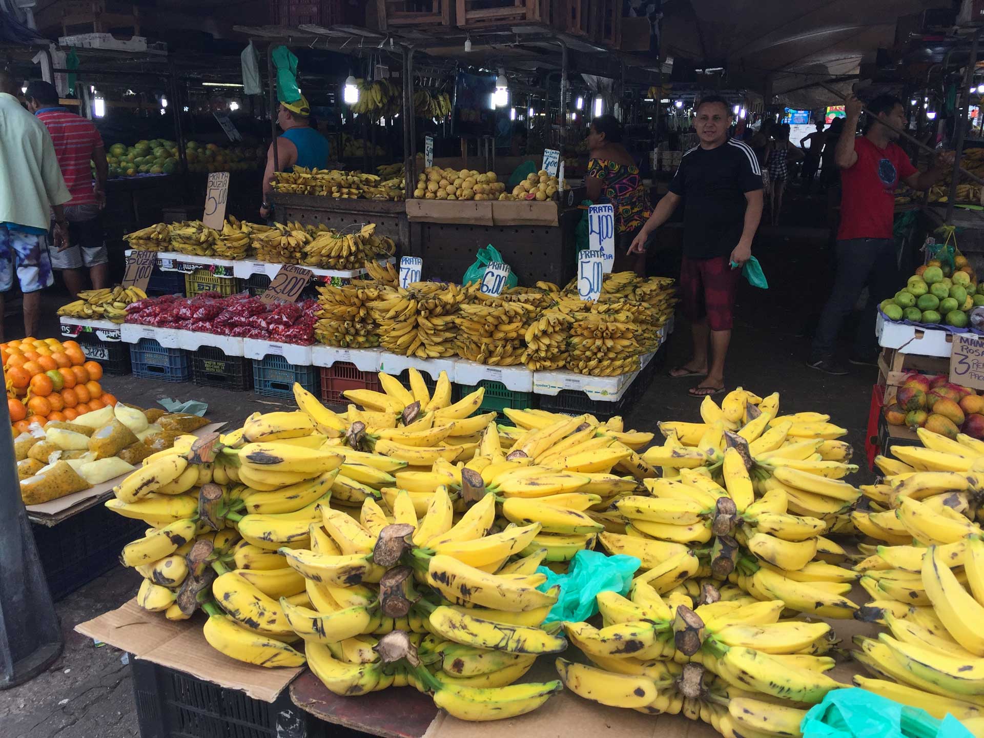 Mercado, Campina